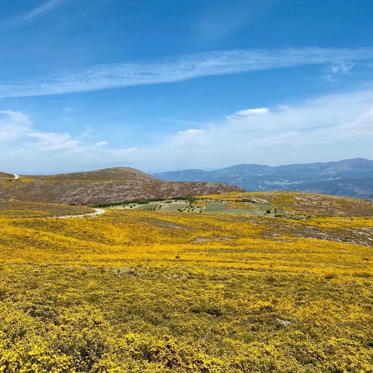 Casa Do Gaio-Turismo De Natureza Арока Экстерьер фото