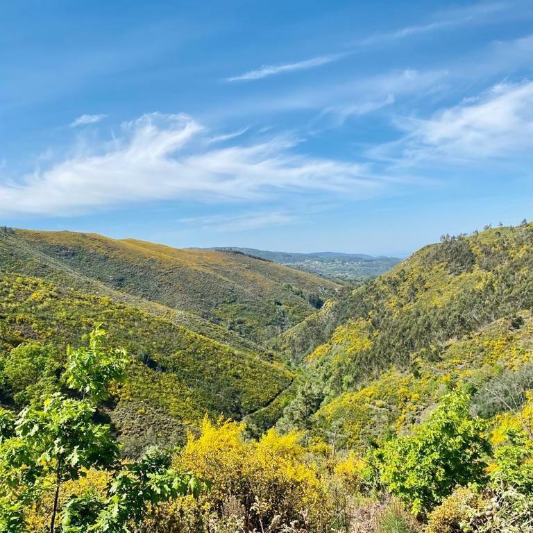 Casa Do Gaio-Turismo De Natureza Арока Экстерьер фото