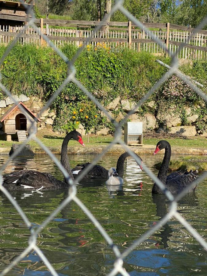 Casa Do Gaio-Turismo De Natureza Арока Экстерьер фото